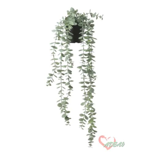 ФЕЙКА Искусств растение в горшке, эвкалипт 9 см, подвесной